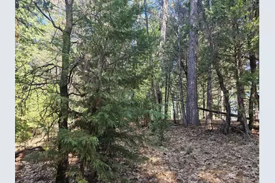 19344 Louis Road, Grass Valley, CA 95945 - Photo 27