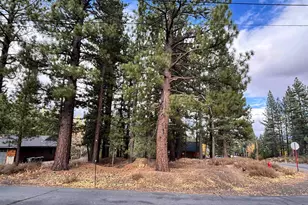 10294 Sugar Pine Rd, Truckee, CA 96161 - Photo 1