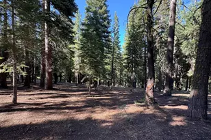 11710 Tundra Dr, Truckee, CA 96161 - Photo 1