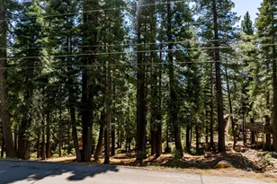 12972 Muhlebach Way, Truckee, CA 96161 - Photo 1