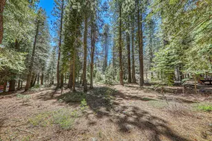 16859 Northwoods Blvd, Truckee, CA 96161 - Photo 1