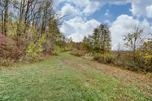 11164 Erastus Durbin Rd, Rockford, OH 45882 - Photo 99