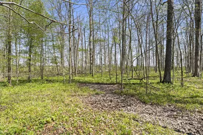 14333 Meranda Road, Anna, OH 45302 - Photo 91