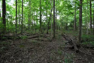 0 County Road 10, Bellefontaine, OH 43311 - Photo 25