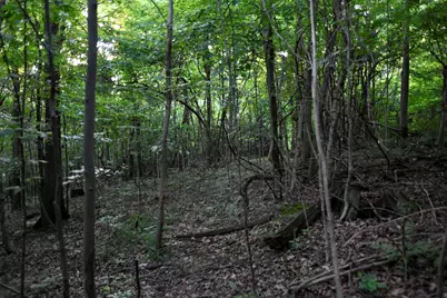 0 County Road 10, Bellefontaine, OH 43311 - Photo 45