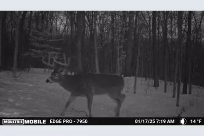 0 Stephen Young, Camden, OH 45311 - Photo 59