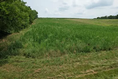 . Township Rd 188, West Liberty, OH 43357 - Photo 5