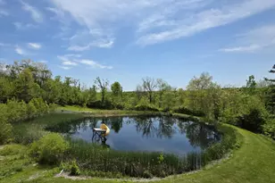 9870 Springhill Degraff Rd, De Graff, OH 43318 - Photo 63
