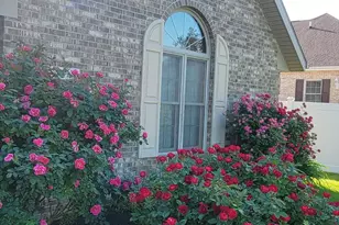 6 Osprey Ct, Piqua, OH 45356 - Photo 5