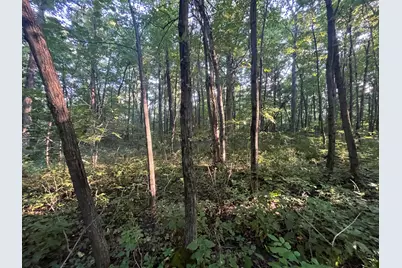 6575 Township Road 137, Rushsylvania, OH 43347 - Photo 55