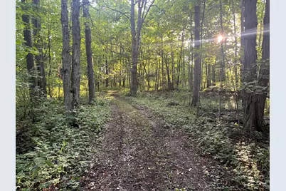 6575 Township Road 137, Rushsylvania, OH 43347 - Photo 57