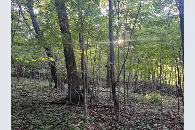 6575 Township Road 137, Rushsylvania, OH 43347 - Photo 17