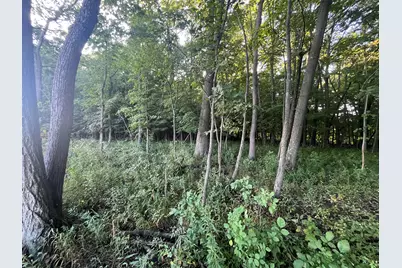 6575 Township Road 137, Rushsylvania, OH 43347 - Photo 37