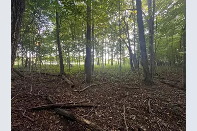 6575 Township Road 137, Rushsylvania, OH 43347 - Photo 29