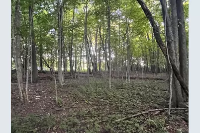 6575 Township Road 137, Rushsylvania, OH 43347 - Photo 27
