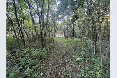 6575 Township Road 137, Rushsylvania, OH 43347 - Photo 15
