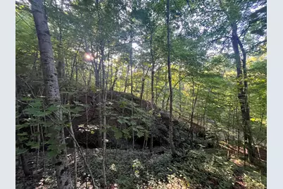 6575 Township Road 137, Rushsylvania, OH 43347 - Photo 21
