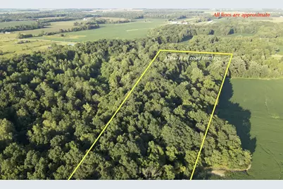 6575 Township Road 137, Rushsylvania, OH 43347 - Photo 3