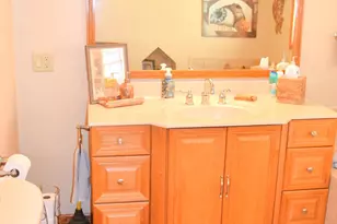 515 W Snyder Rd, Piqua, OH 45356 - Photo 73