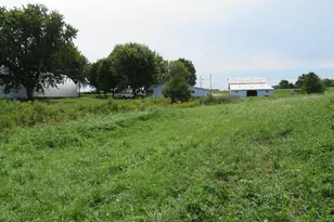 11514 W State Route 29, Conover, OH 45317 - Photo 57