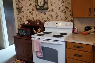503 E Mechanic St, Wapakoneta, OH 45895 - Photo 29