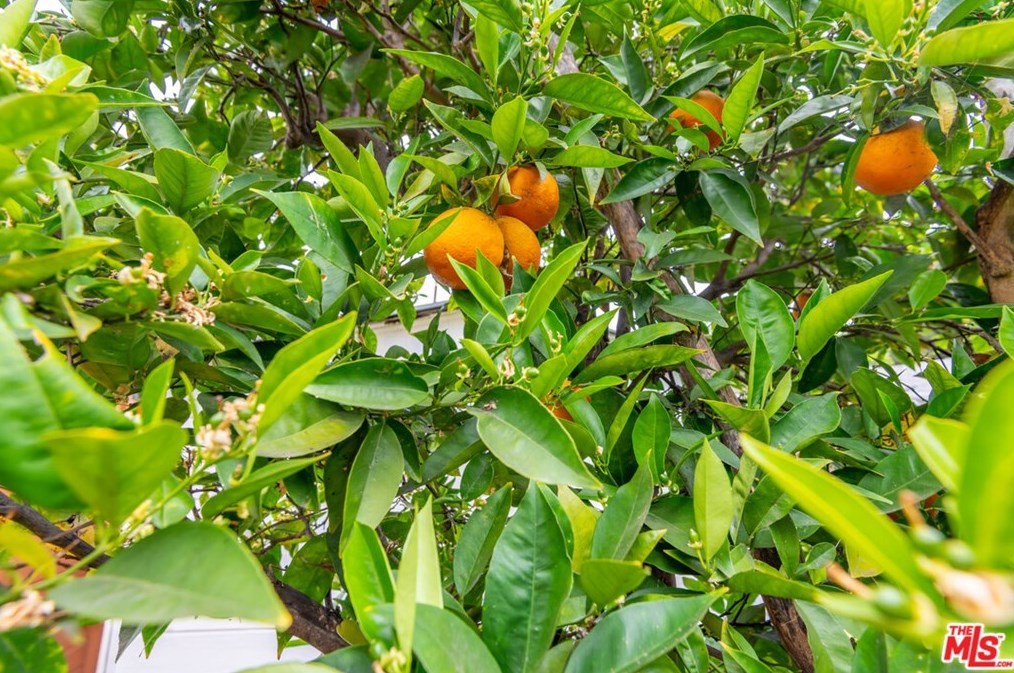 7645 Midfield Ave, Los Angeles CA  90045-3233 exterior