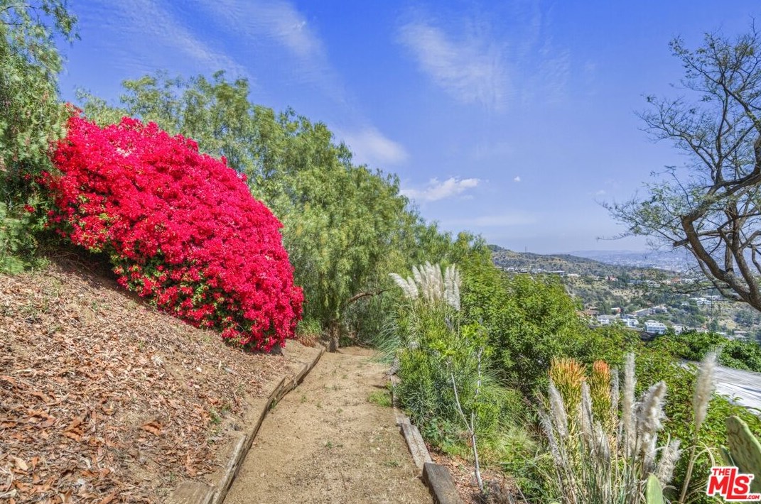 8321 Elusive Dr, Los Angeles CA  90046-7746 exterior