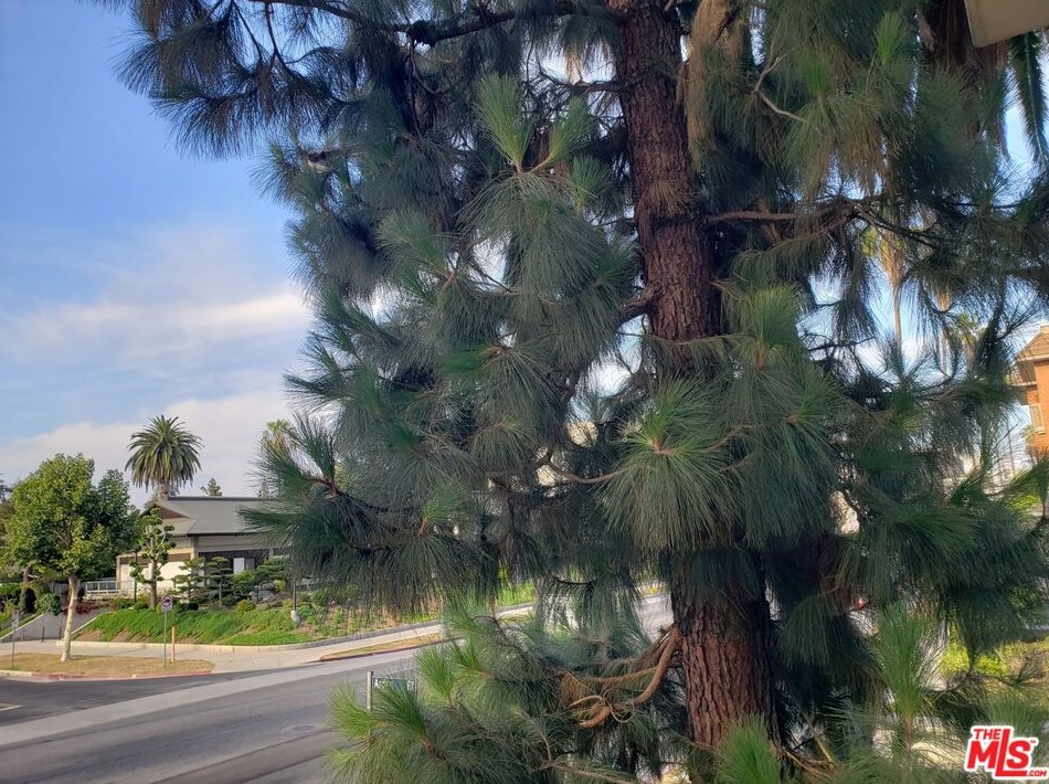 4460 Wilshire Blvd, Los Angeles CA  90010-3722 exterior