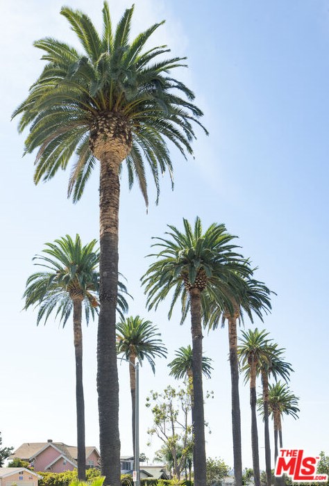 1727 39th Pl, Los Angeles CA  90062-1339 exterior