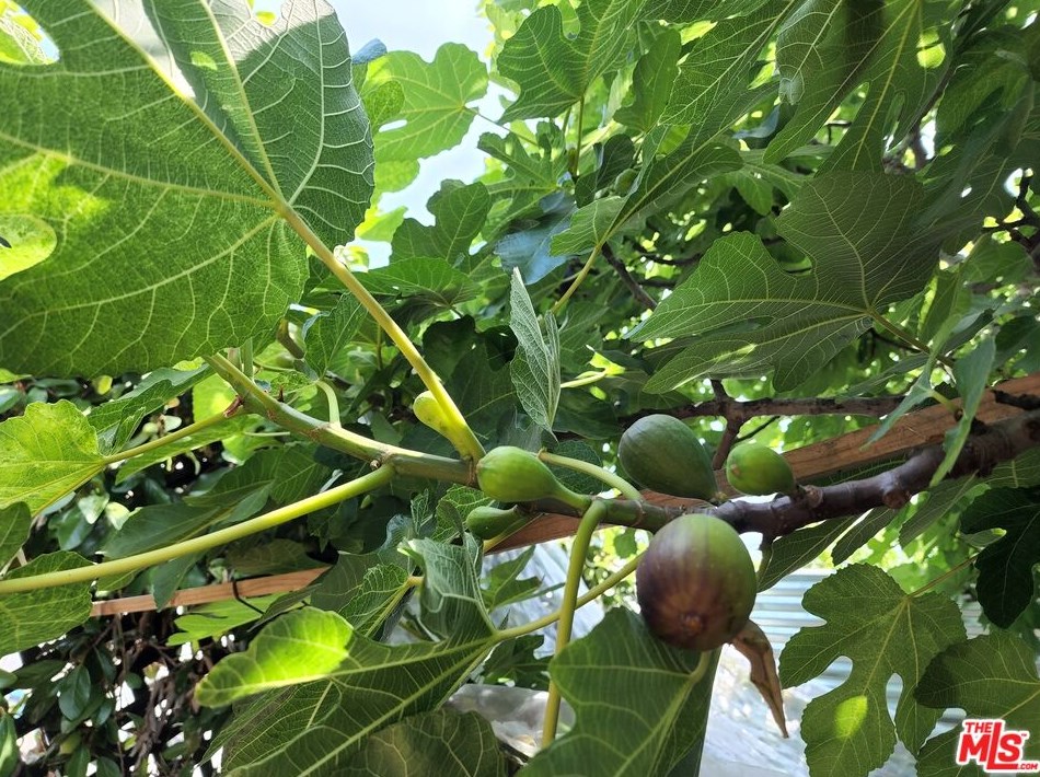 812 Coronado St, Los Angeles CA  90026-3913 exterior