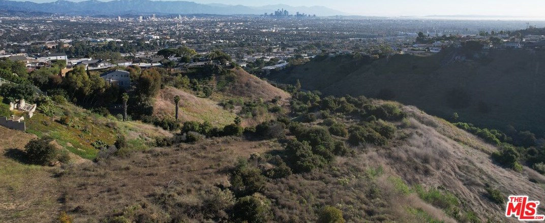 4138 Mantova Dr, Los Angeles CA  90008-1129 exterior