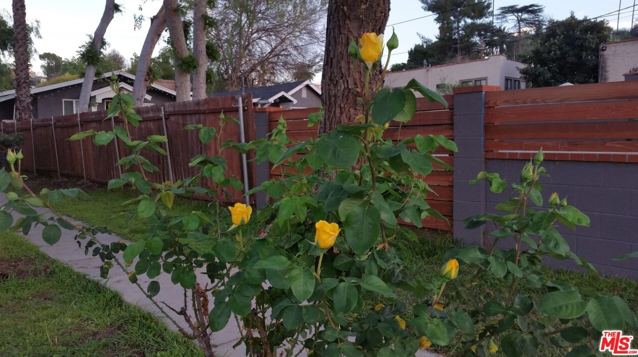 1418 Hazelwood Ave, Los Angeles CA  90041-3315 exterior