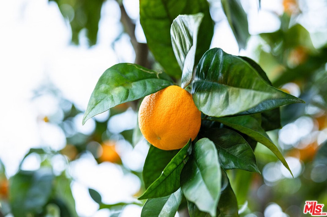 2926 Graceland Way, Glendale CA  91206-1331 exterior