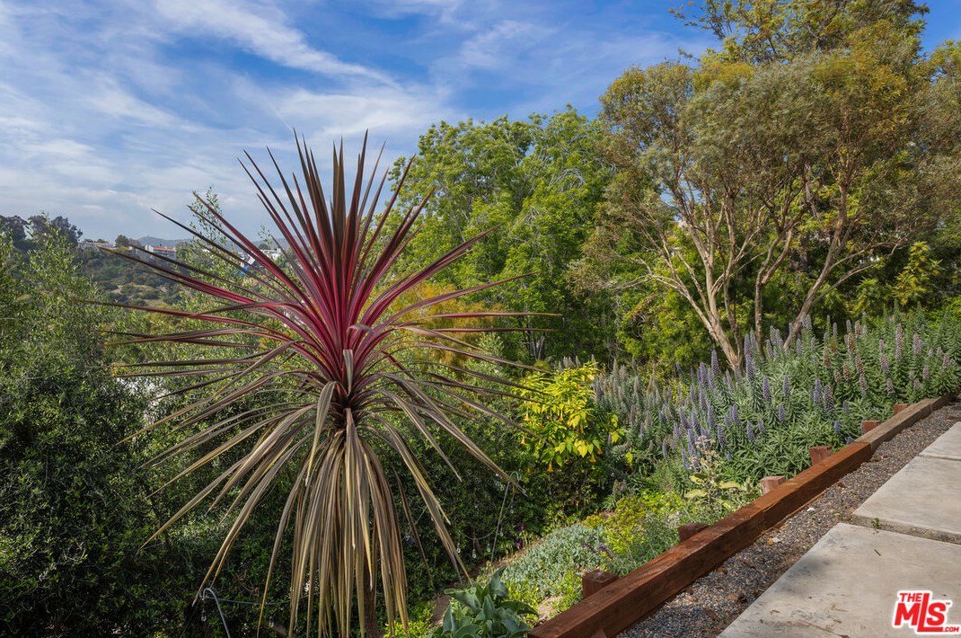 2507 Creston Dr, Los Angeles CA  90068-2205 exterior