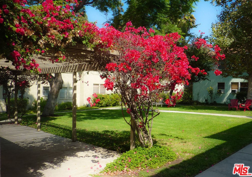 3645 Kalsman Dr, Los Angeles CA  90016-4446 exterior