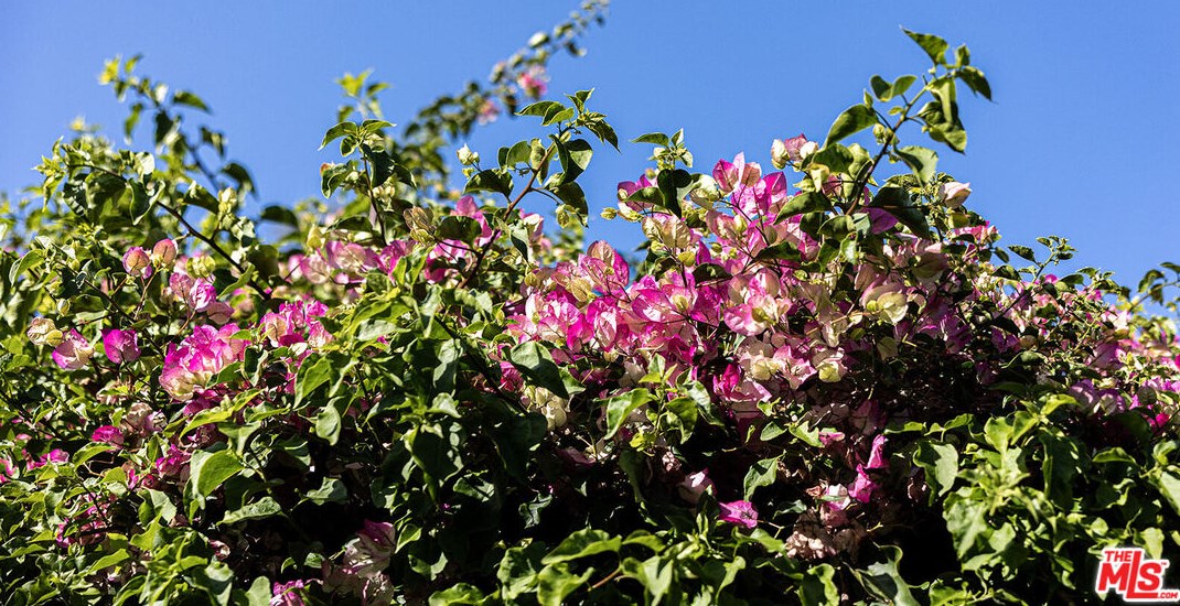 4924 San Rafael Ave, Los Angeles CA  90042-3133 exterior