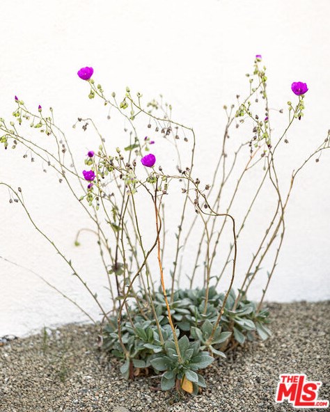 4924 San Rafael Ave, Los Angeles CA  90042-3133 exterior