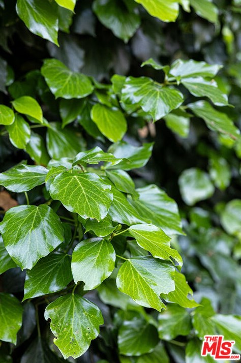 4924 San Rafael Ave, Los Angeles CA  90042-3133 exterior