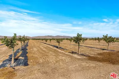 12055 Munsey Rd, California City, CA 93519 - Photo 41