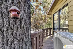 25955 Hwy 243, Idyllwild, CA 92549 - Photo 39