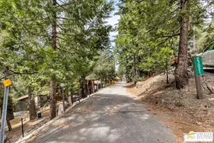 23031 Pine Needles Ln, Idyllwild, CA 92549 - Photo 3