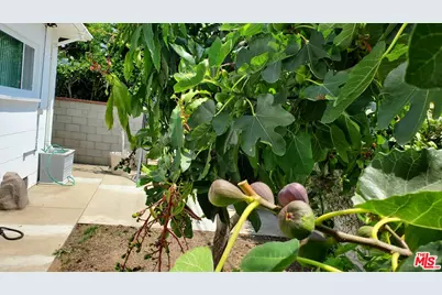 8130 Grimsby Ave, Los Angeles, CA 90045 - Photo 33