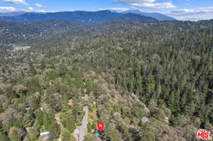 22321 Forest Dr, Cedarpines Park, CA 92322 - Photo 53