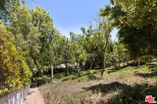 850 Birchwood Dr, Los Angeles, CA 90024 - Photo 55