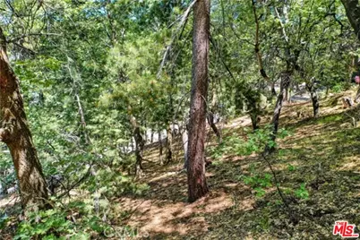 28270 Arbon Ln, Lake Arrowhead, CA 92352 - Photo 3