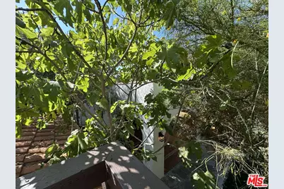 636 N Curson Ave, Los Angeles, CA 90036 - Photo 41