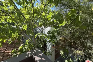 636 N Curson Ave, Los Angeles, CA 90036 - Photo 41