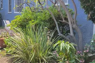 1137 26th St, Santa Monica, CA 90403 - Photo 5