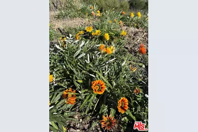 23474 W Moon Shadows Dr, Malibu, CA 90265 - Photo 11