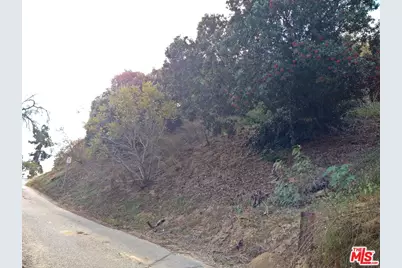 2861 Forest Park Dr, Los Angeles, CA 90032 - Photo 5